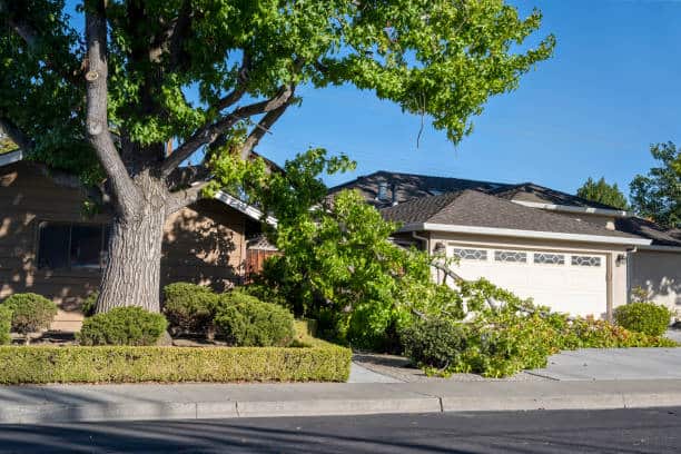 Storm Damage Cleanup — 24-7 Tree Services Texas